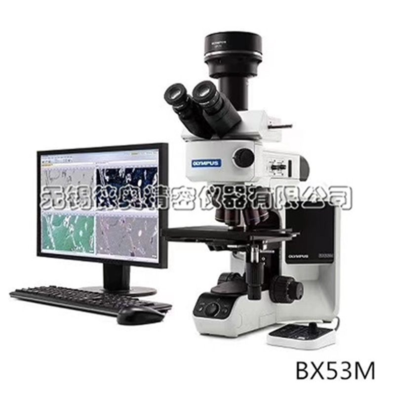 BX53M清洁度分析